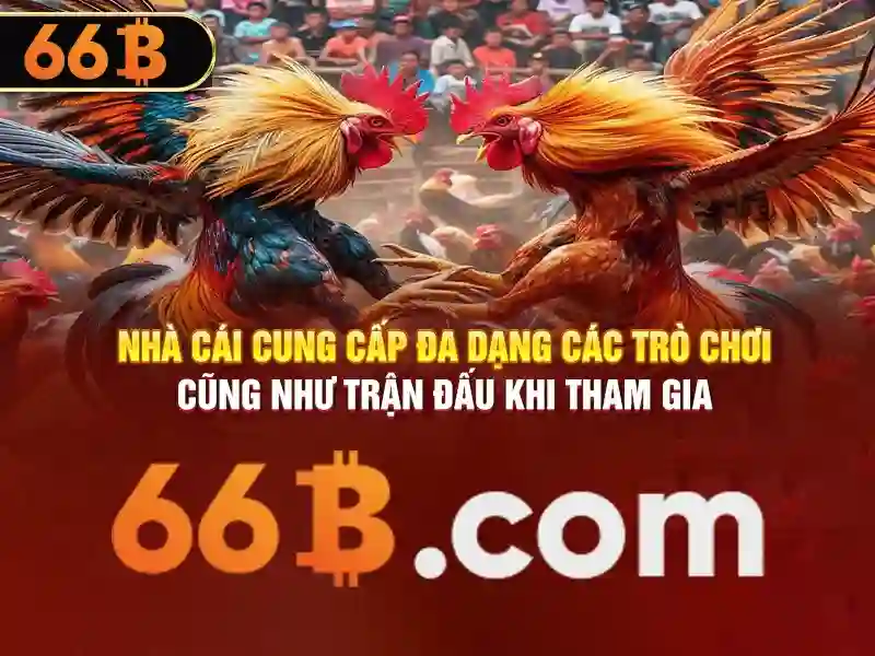 Ưu thế và sức cạnh tranh