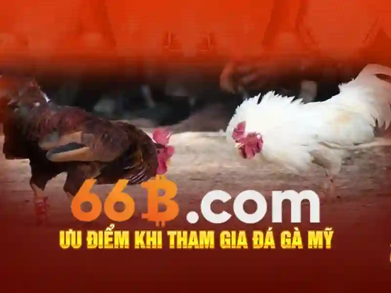 66B: Hiệu suất, kiến trúc và ứng dụng của mô hình 66B