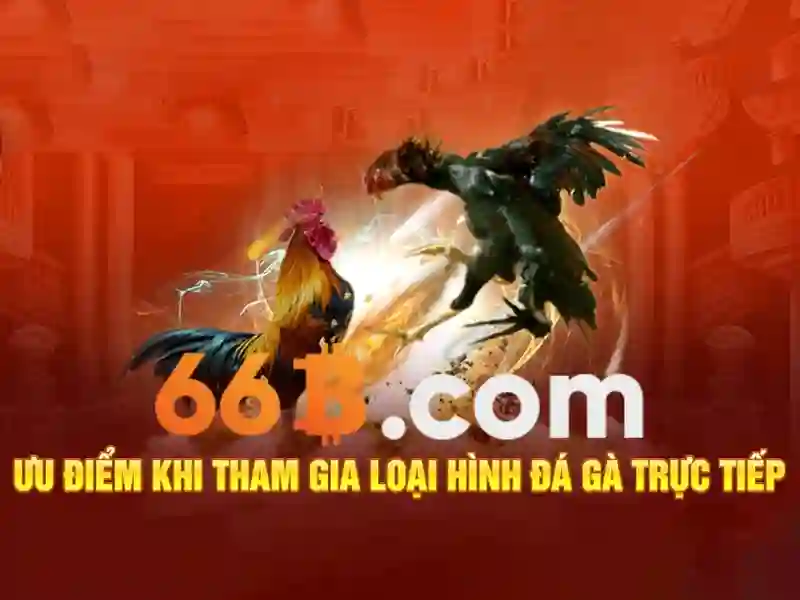Nguồn gốc và ý nghĩa của 66b
