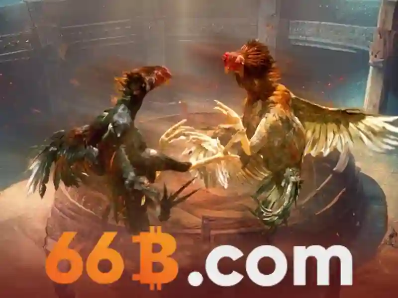 It act 66b – Hành trình đổi mới công nghệ và cộng đồng