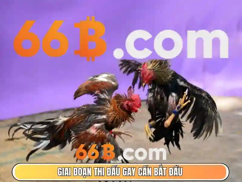 k9 66b – Đột phá số với 66b..com và app 66b download