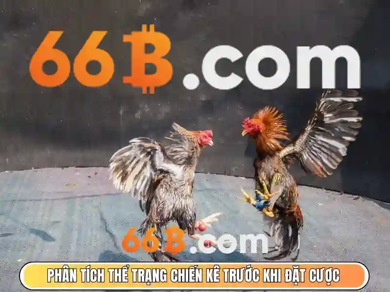 Sân 66b triều khúc: trải nghiệm đỉnh cao và ngõ 66b triều khúc
