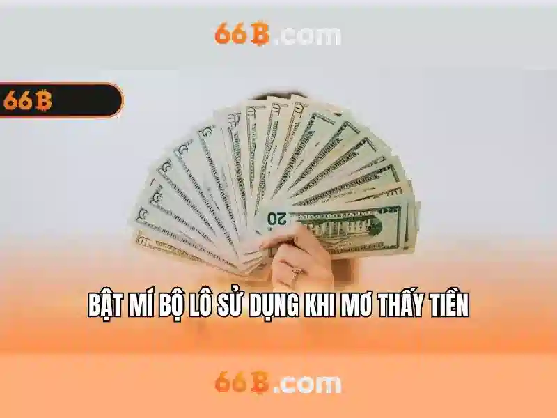 Cấu trúc và kích thước của 66B