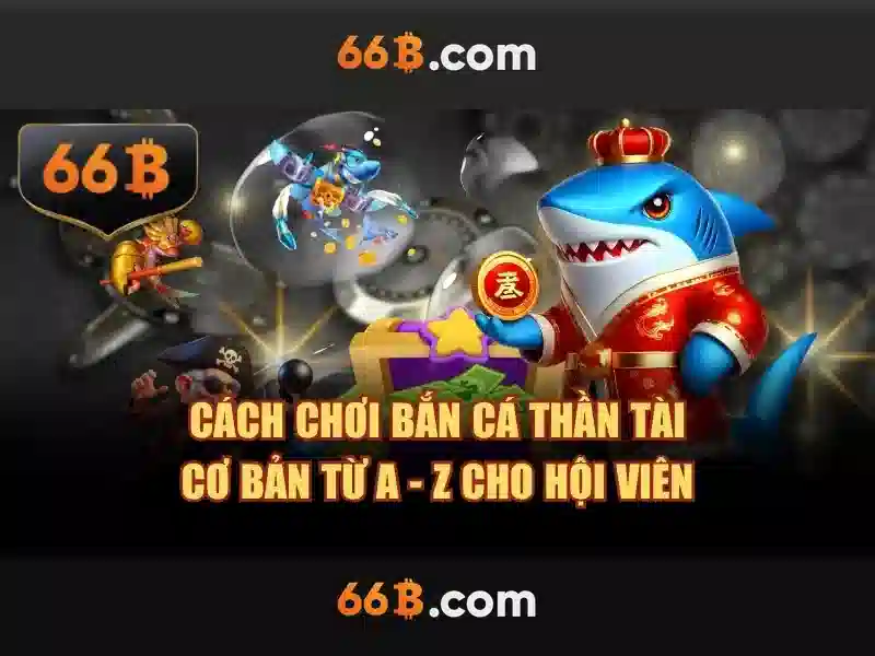 66b – một ký hiệu và câu chuyện