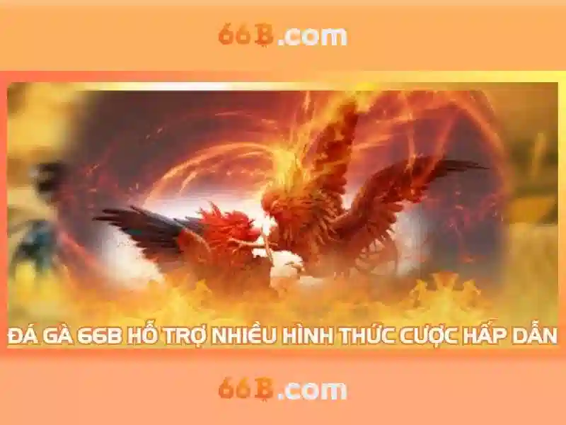 66b hạ long – Trải nghiệm đỉnh cao và giá trị