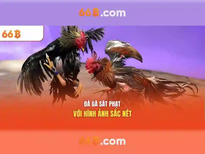 aurora 64b/66b: Đột phá công nghệ và trải nghiệm