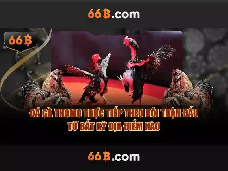 66b: Khám phá một khía cạnh công nghệ