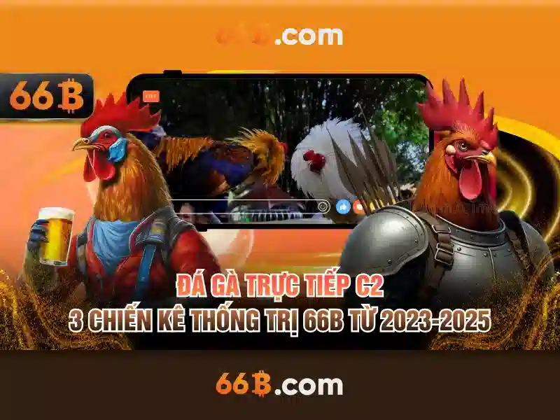 Khả năng và ứng dụng của 66b