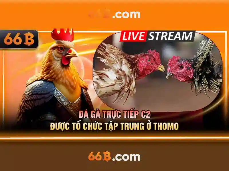 66b là gì và ý nghĩa của nó