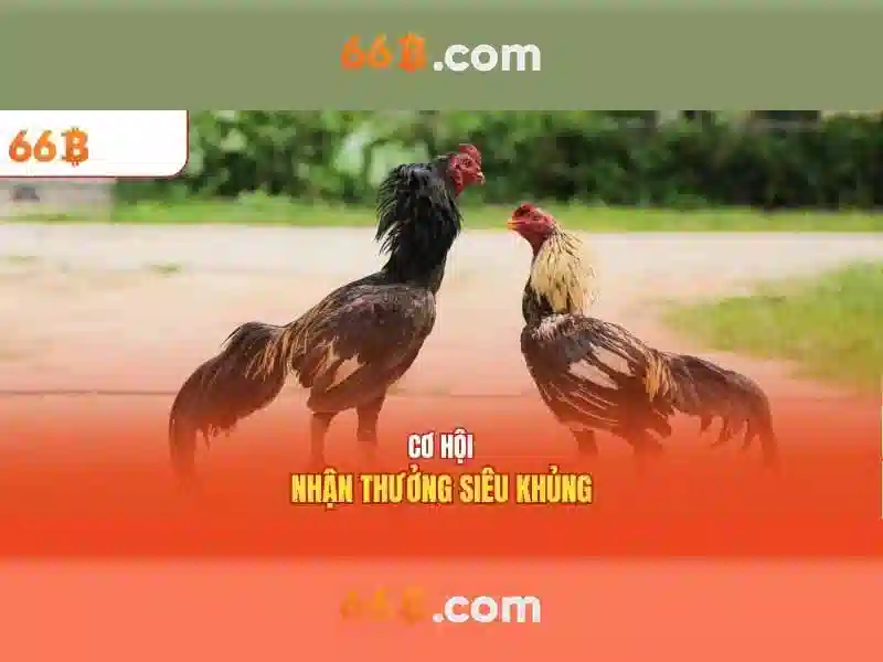 66b và vai trò của nó trong AI hiện đại
