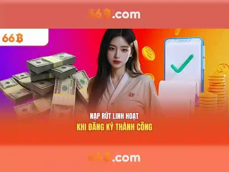 <!--IMG_PLACEHOLDER alt>Sản phẩm và dịch vụ chính: ứng dụng thực tế của bếp từ canzy cz 66b-->