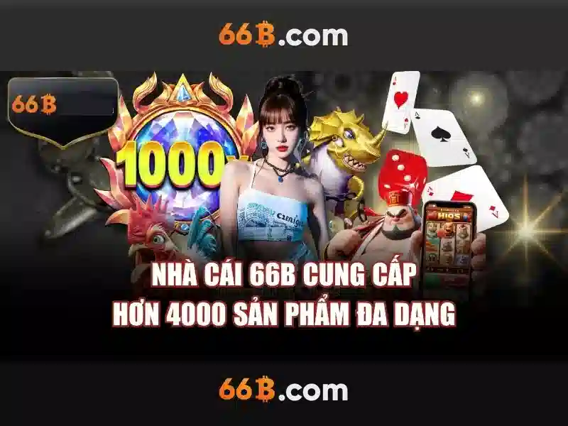 66B là gì?