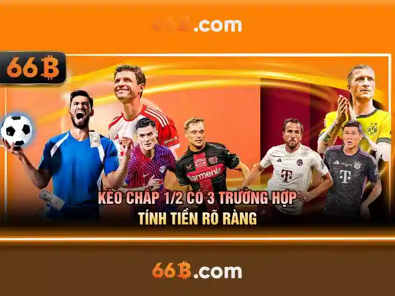 66b: một khía cạnh thú vị của ký hiệu và chuỗi số