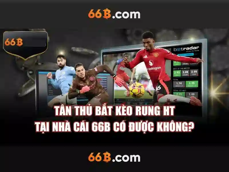 Ứng dụng và kích thước