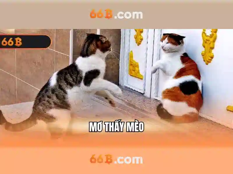 Đạo đức và an toàn khi triển khai