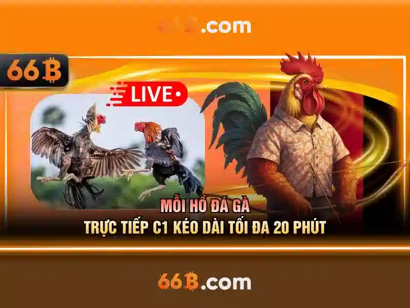 66b: Khái niệm và ảnh hưởng của nó trong công nghệ và xã hội