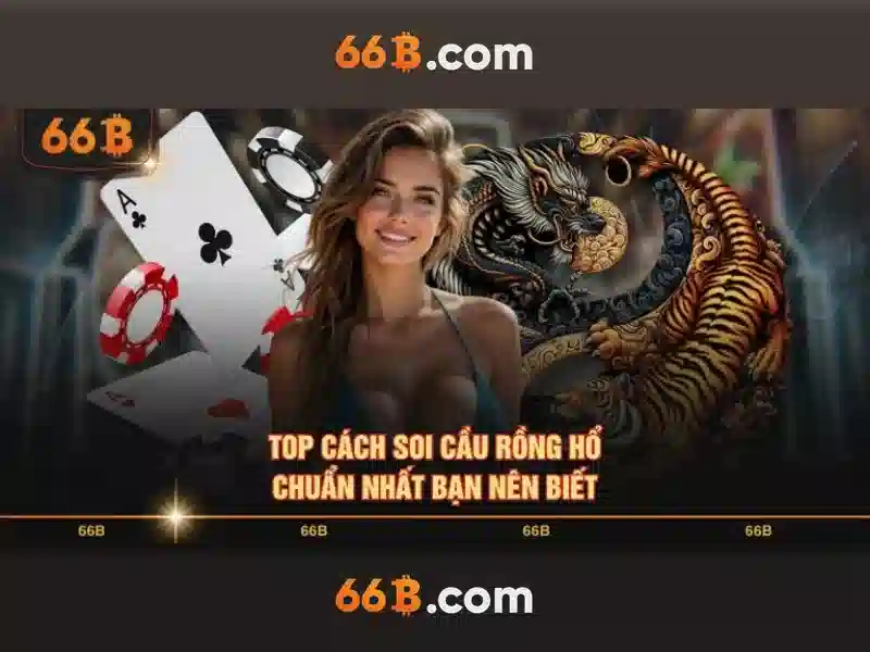Tối ưu hóa và huấn luyện