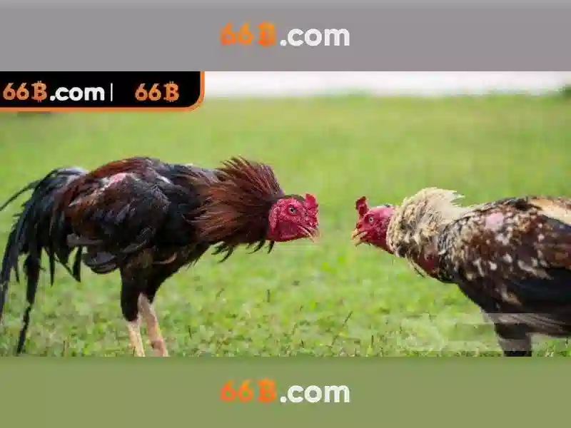 336/66b phan văn trị, p11, q.bình thạnh, hcm – Nền tảng đổi mới