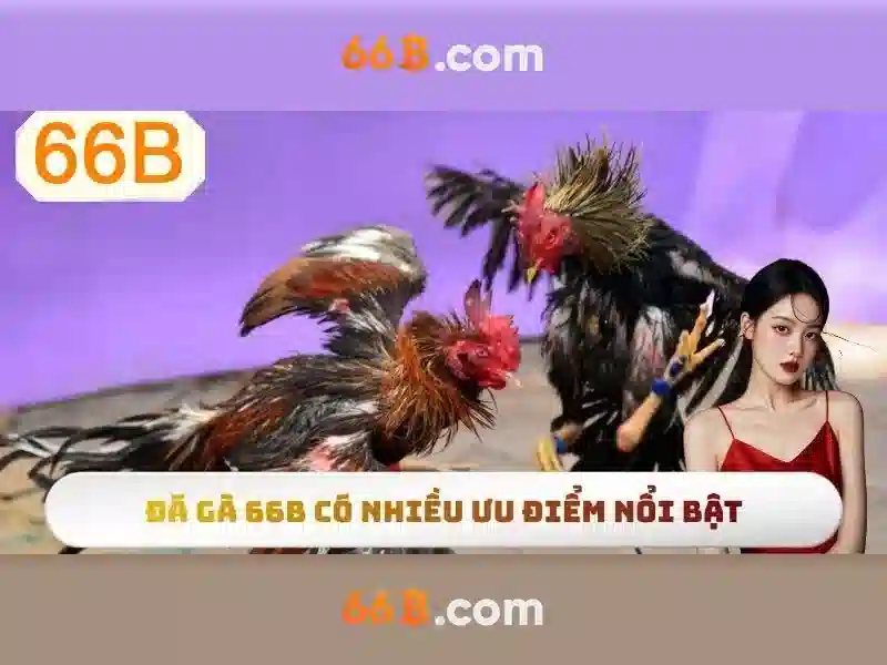 Thách thức và an toàn<h>Tương lai của 66b</h><p><span style=