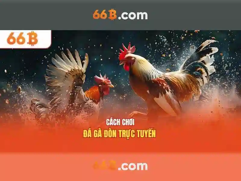 66B: Mô hình ngôn ngữ lớn 66 tỷ - tổng quan và tiềm năng