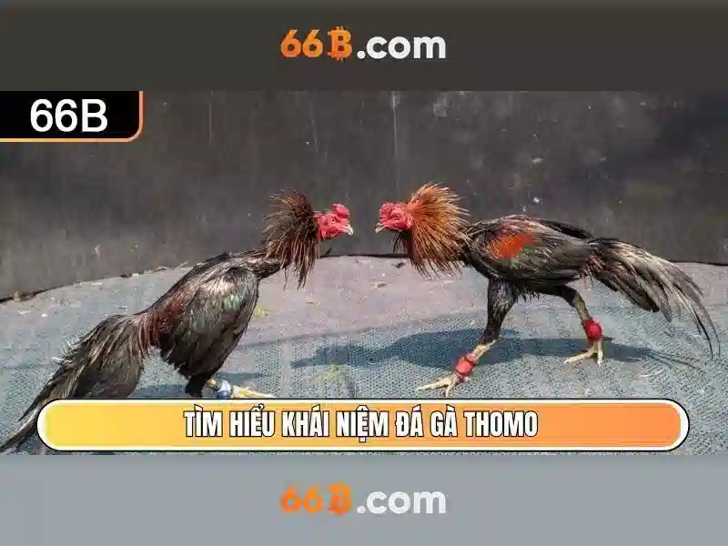 Khái niệm về 66b