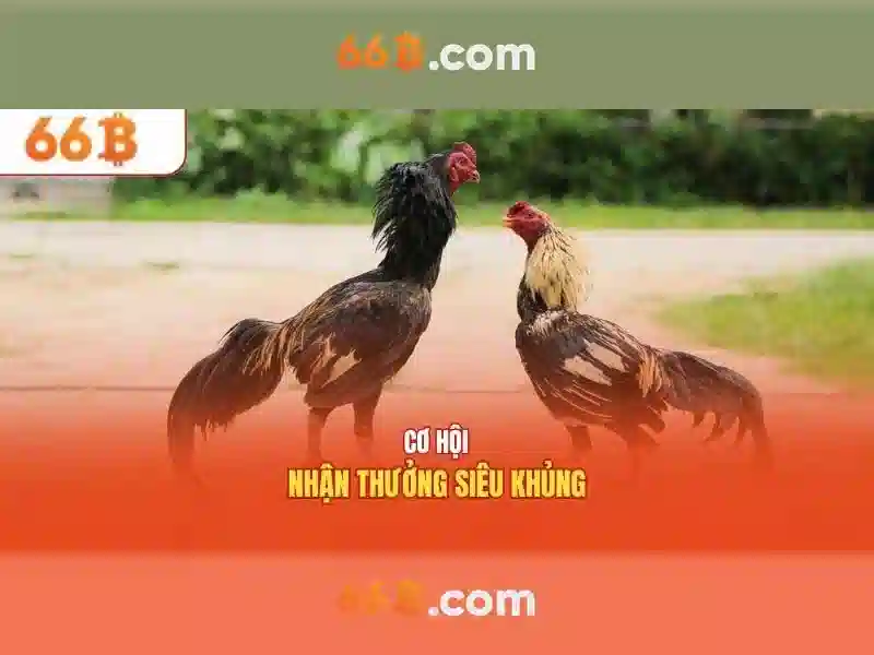 66B: một mô hình ngôn ngữ lớn và những điểm nổi bật