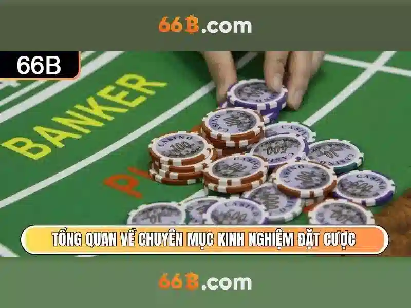 Kiến trúc và quy mô