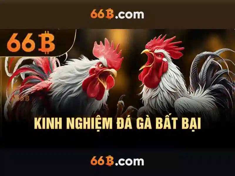 66B: Khái niệm, hiệu ứng và ứng dụng trong thế giới số