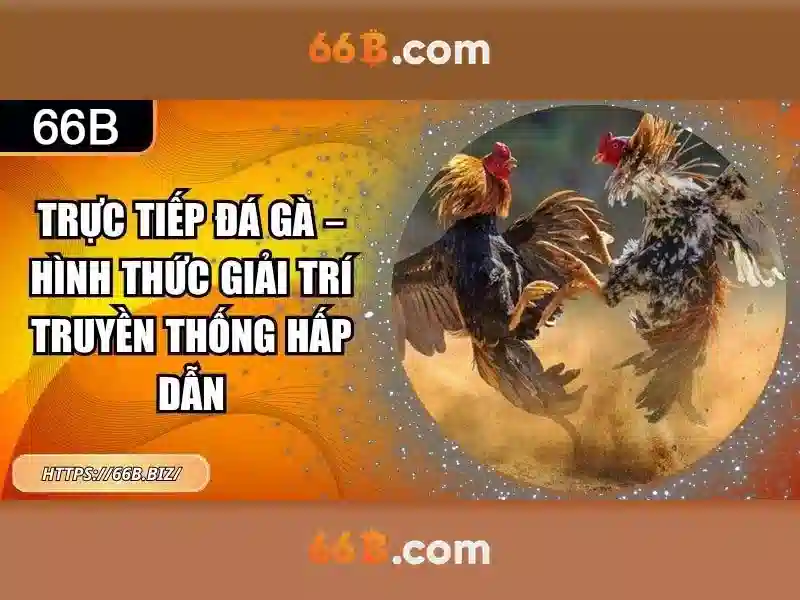 66b nguyễn sỹ sách phường 15 tân bình – nguồn gốc và sứ mệnh