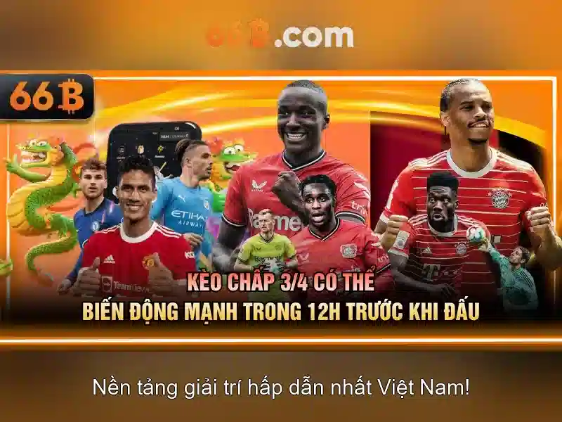 66b trong thế giới số