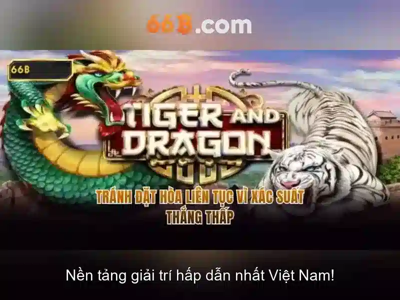 66b: khái niệm, ứng dụng và tương lai
