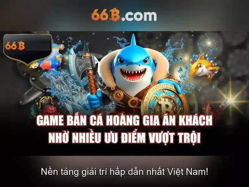 66b là gì và các đặc điểm nổi bật