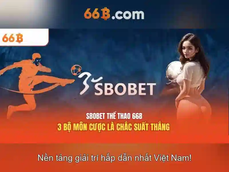 66B: Tổng quan, đặc tính và ứng dụng