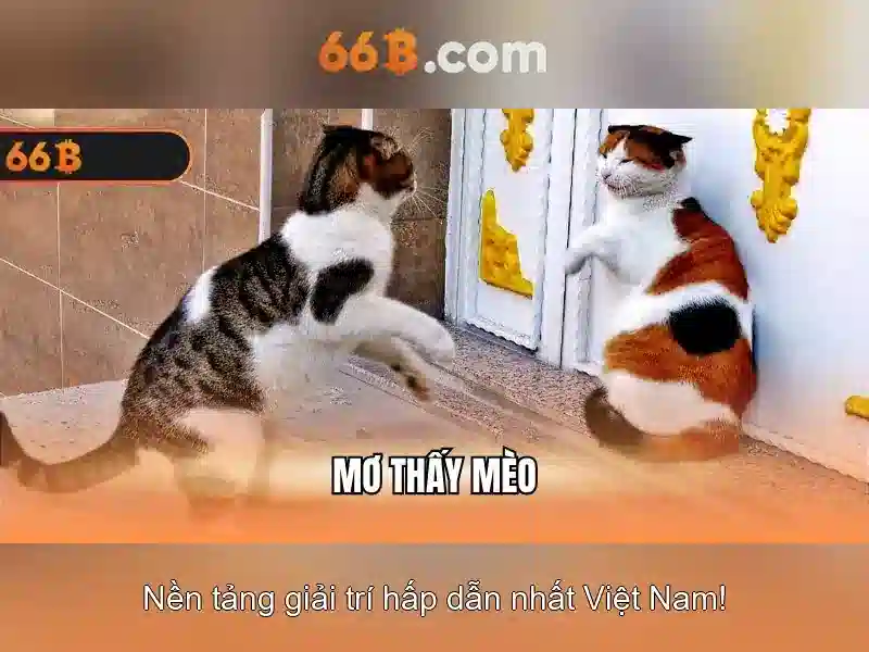Ứng dụng của 66b trong công nghệ