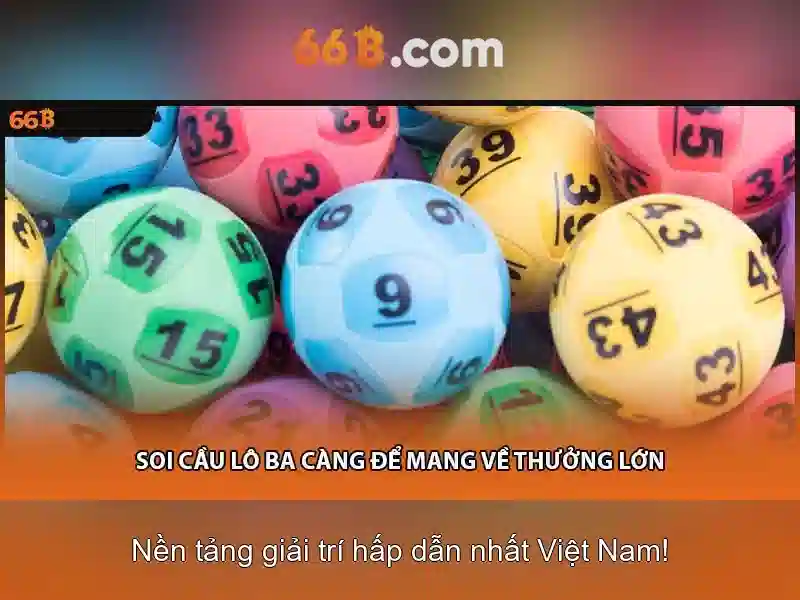 66B là gì