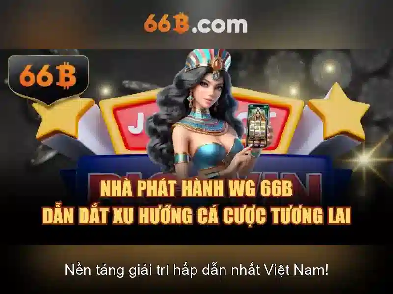 66b: một mã số và ý nghĩa của nó