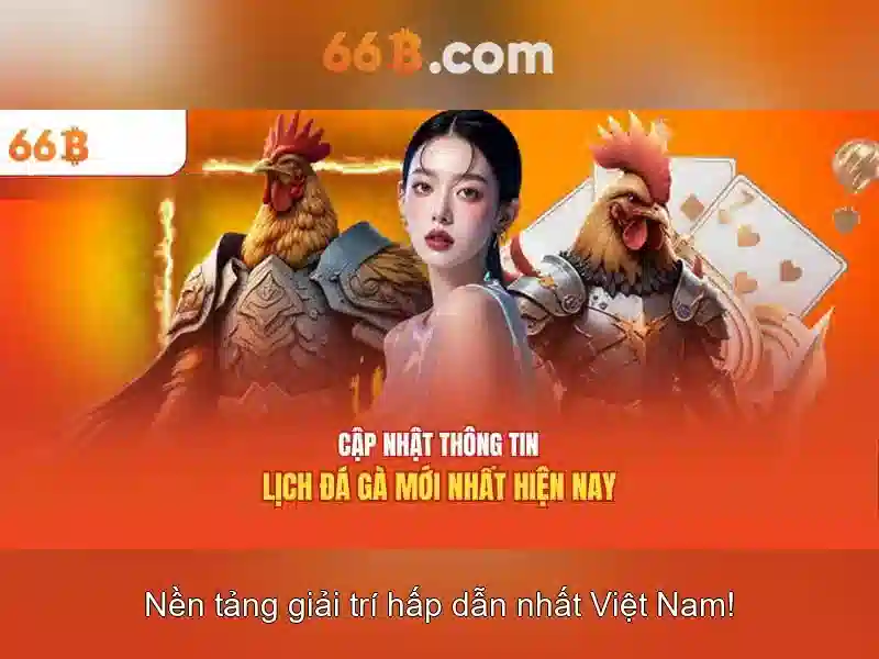 66B: Khái niệm, tiềm năng và thách thức