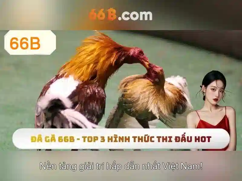 pt6a-66b: Khám phá nền tảng và trải nghiệm 66b app