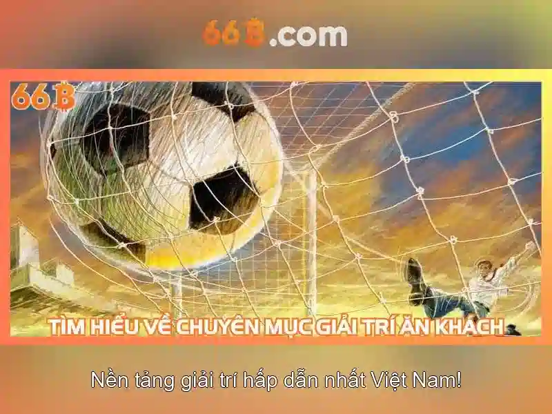 Hiệu suất và thách thức