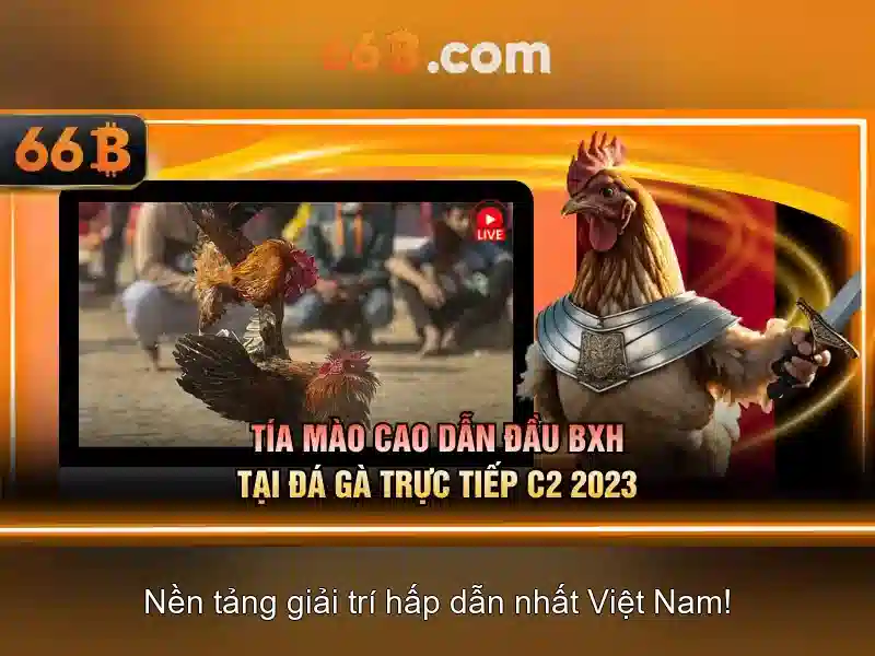 Những tính năng nổi bật của 66b\n\n<h2><b>Lược sử và ứng dụng</b></h2>\n<p><span style=