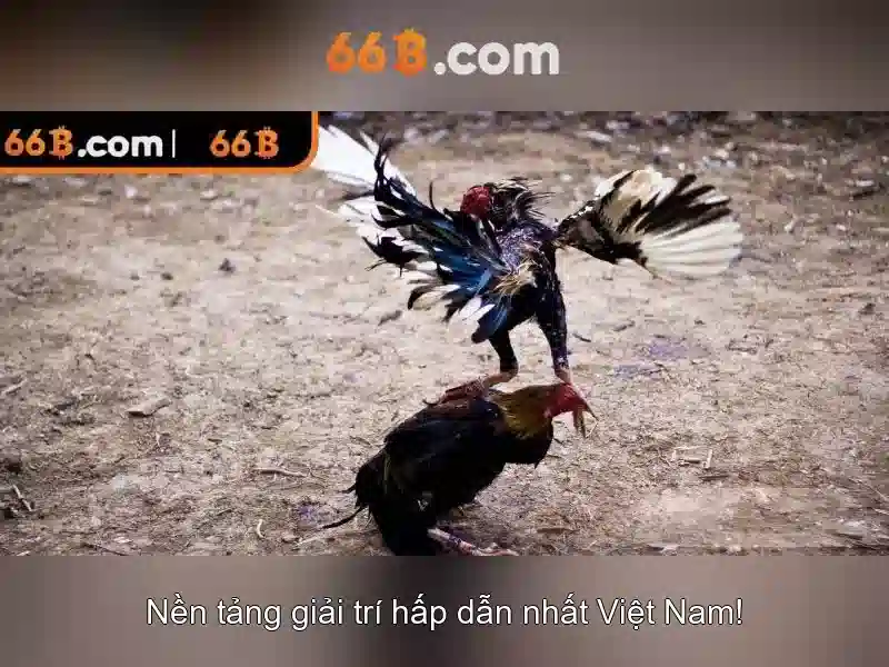 Khám phá kích thước 66B và cách chọn áo ngực phù hợp