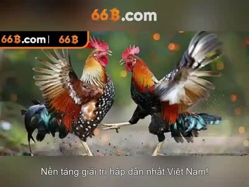 Cách 66B được tạo ra và ứng dụng
