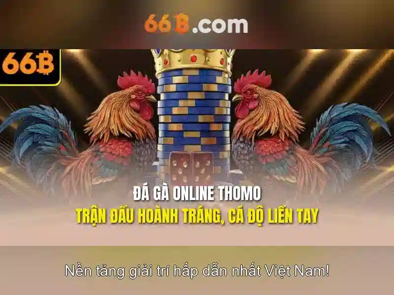 66B: Mô hình ngôn ngữ lớn hiện đại