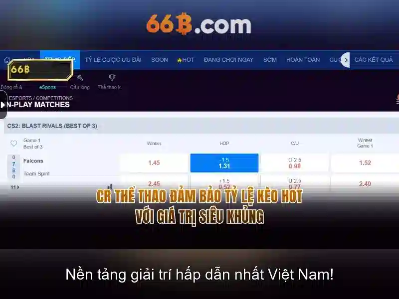 66b là gì? - cái nhìn tổng quan