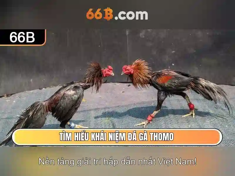 66b và hành trình khám phá một khái niệm công nghệ