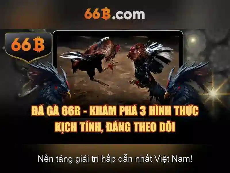 Định nghĩa và nguồn gốc của 66b