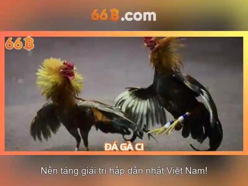 Ứng dụng tiềm năng của 66B trong NLP