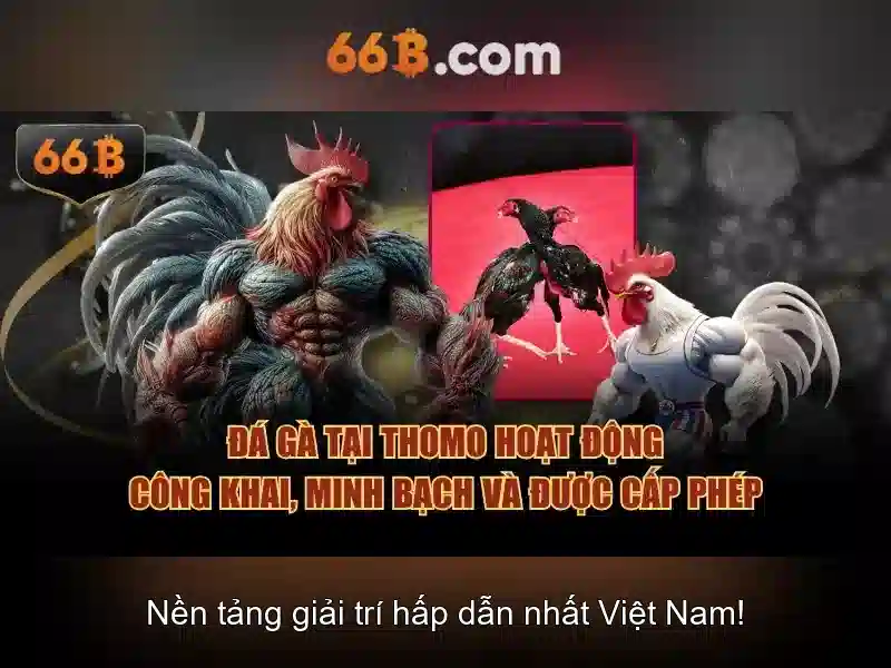 336/66b phan văn trị, p11, q.bình thạnh, hcm – Tổng quan và giá trị cốt lõi