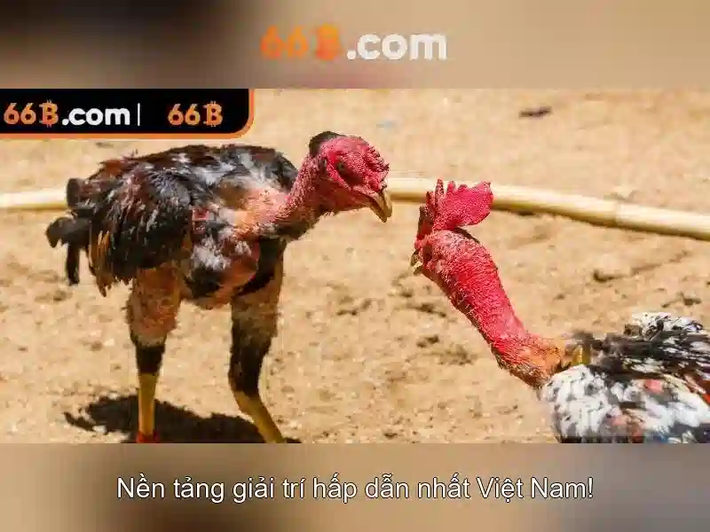 66B: Mô hình ngôn ngữ lớn và vai trò của nó trong AI