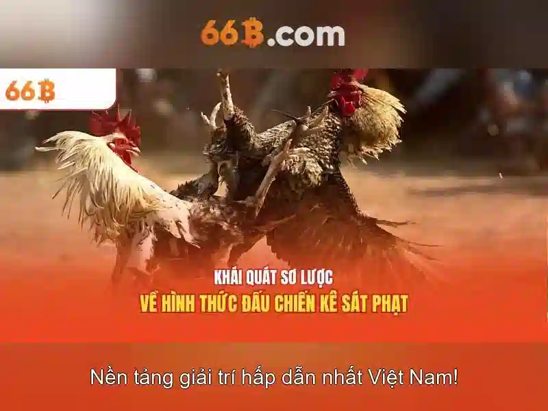 66B: Khái niệm và ứng dụng của một mô hình ngôn ngữ lớn